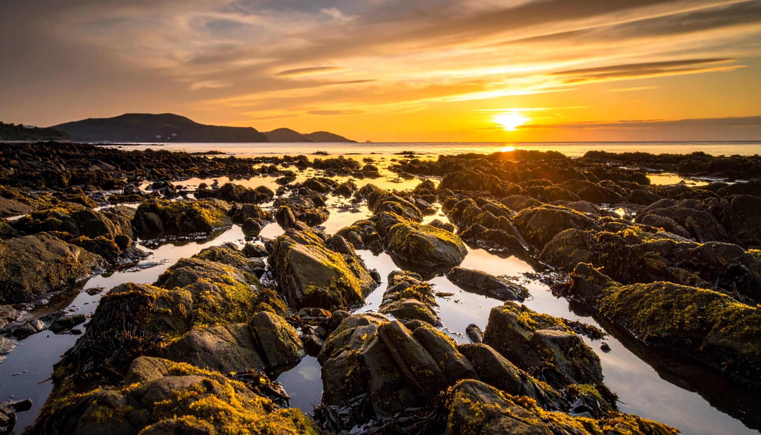 Golden Hour at Rocky Shore: Mossy Rocks Reflecting Sunset's Glow