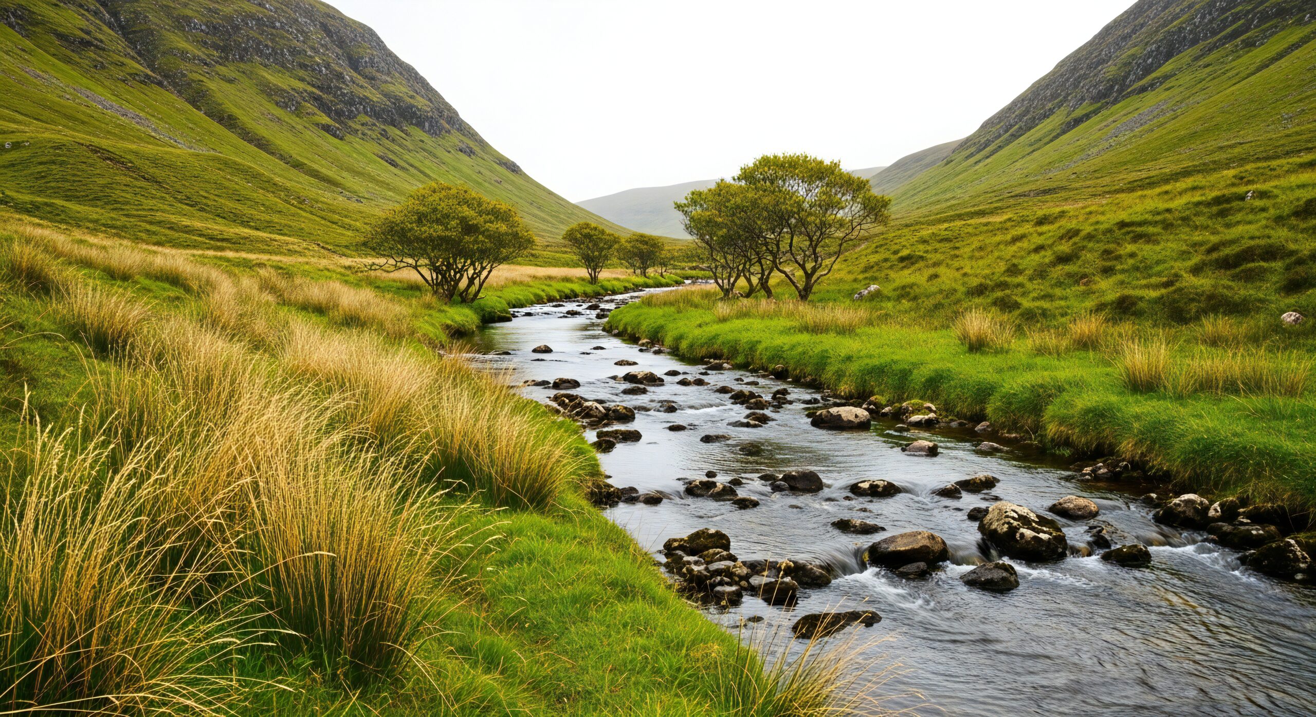 vecteezy_nature-background-nature-wallpaper-rocky-stream-flowing_73832219