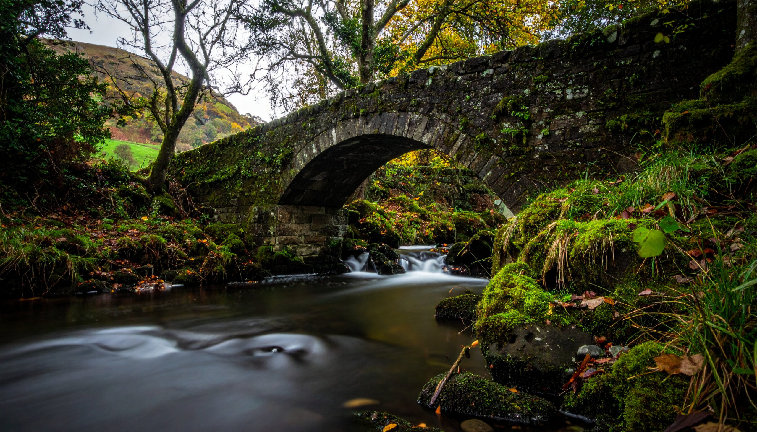 vecteezy_stone-bridge-over-a-river-green-moss-idyllic-nature_71919129