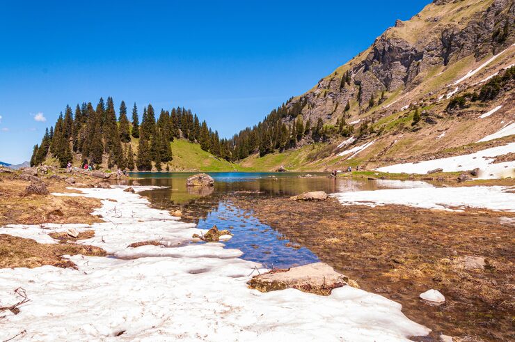 waters-lake-lac-lioson-surrounded-by-trees-mountains-switzerland_181624-31695